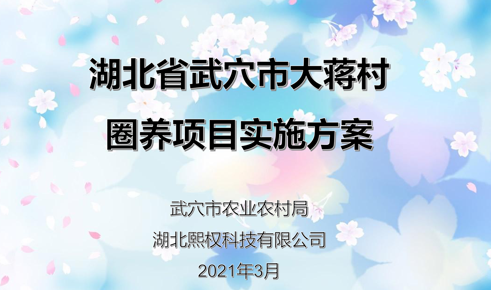 武穴市“打卡”,召开不一样的评审会